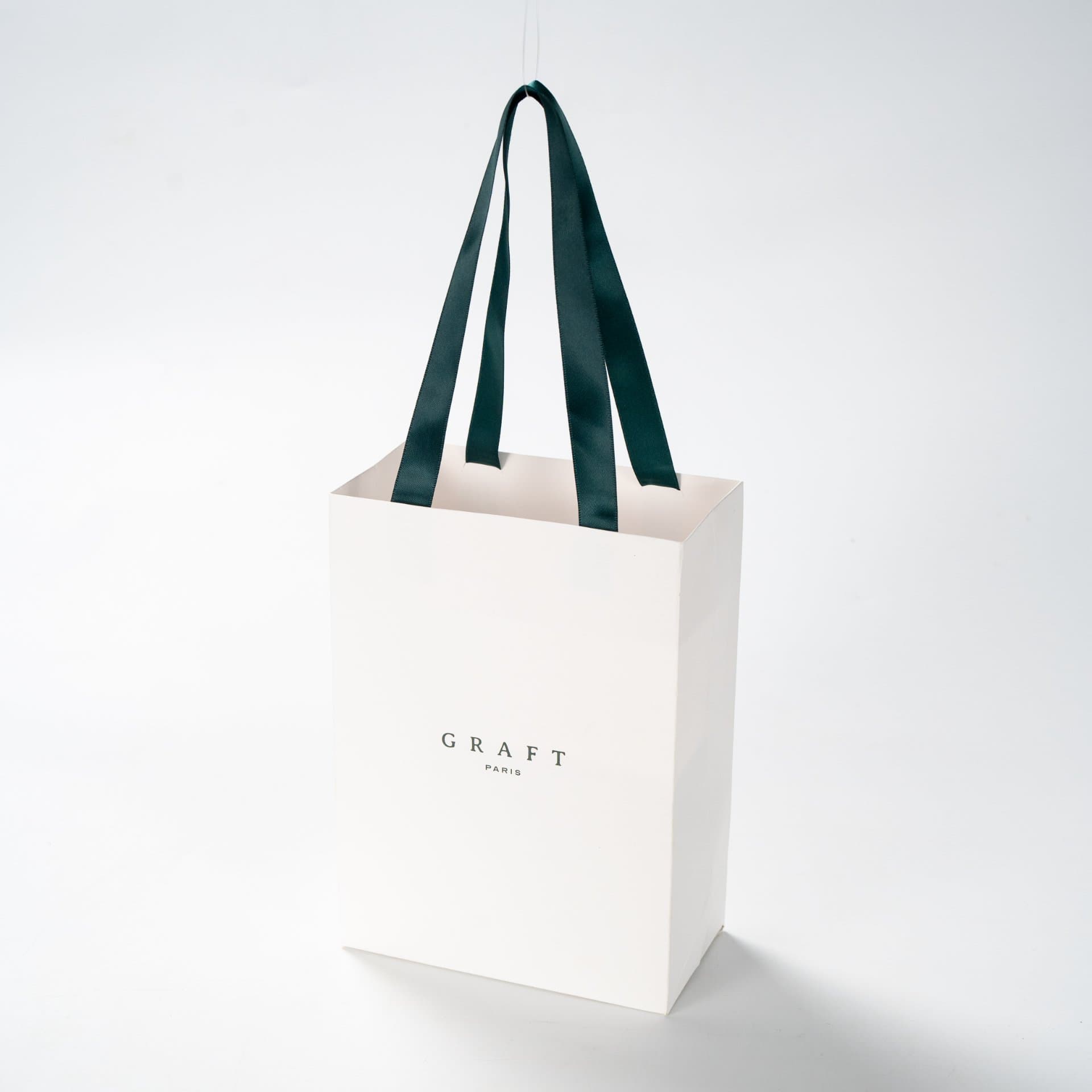 Elegant Paper Gift Bag